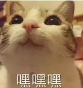 【源码+教程】彩虹代刷网app源码