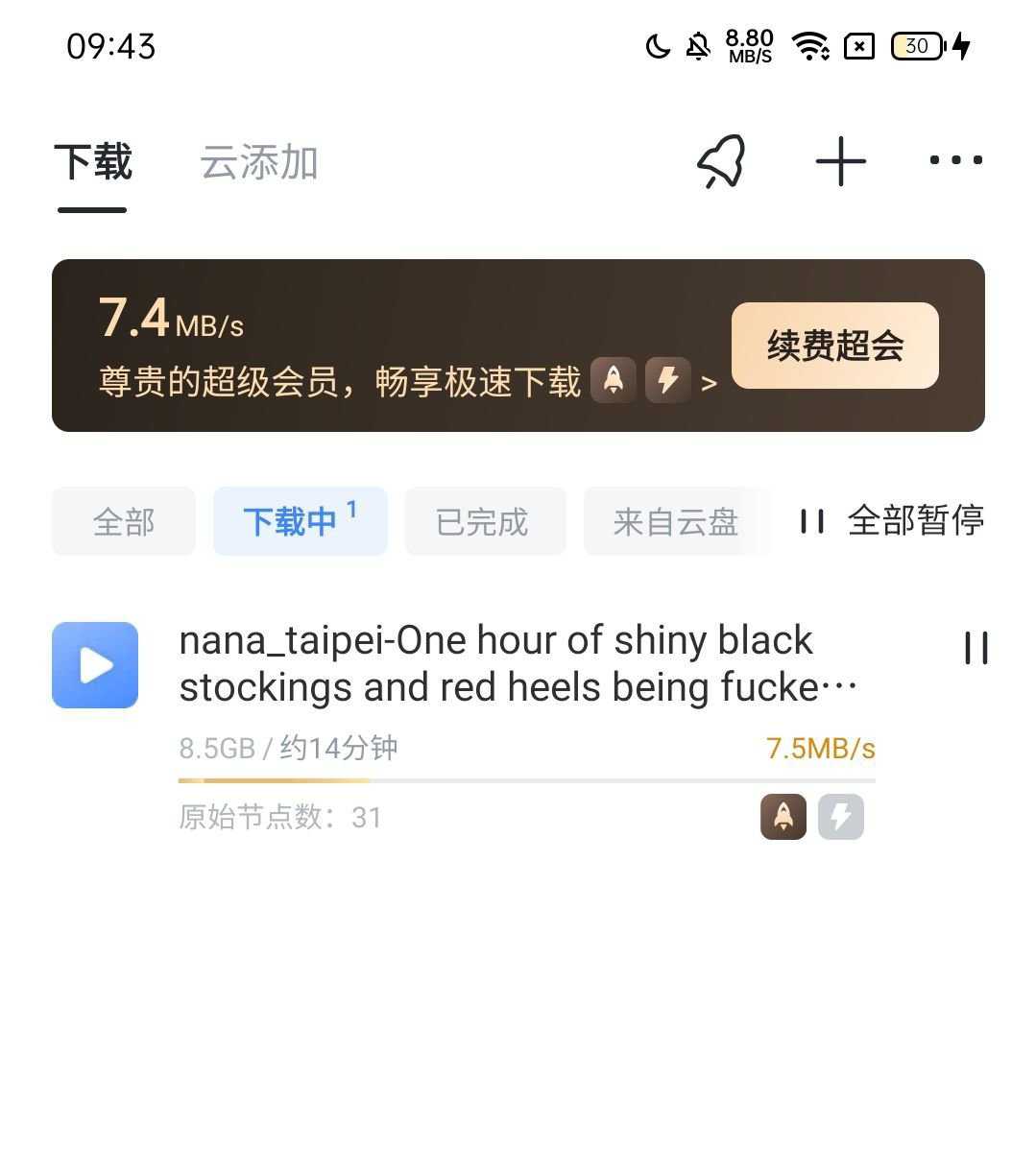 【分享】迅雷8.06 内置hook模块 绿化SVIP 高速