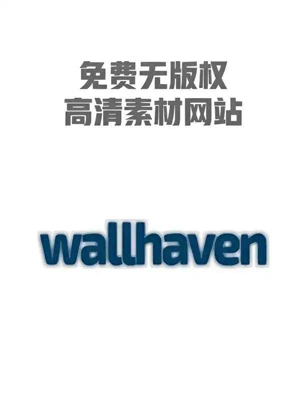 【分享】WallHaven地表最强壁纸软件 附最新可用密钥